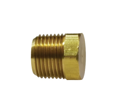 1/8in Brass Hex Plug