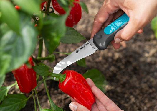 VeggieCut Scissors