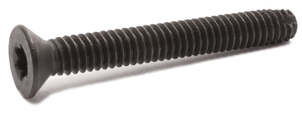 1/4-20 x 2 Torx Floorboard Screw Type F Black
