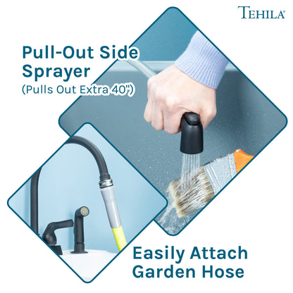 Tehila Black Finish Gooseneck Faucet with Side Sprayer
