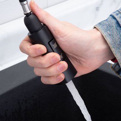 Tehila Black Finish High-Arc Pull-Down Faucet