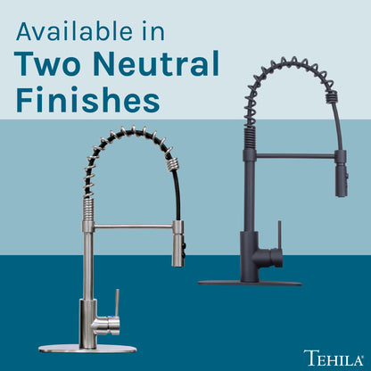 Tehila Black Finish High Arc Coil Pull-Down Faucet