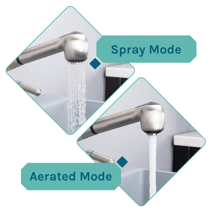 Tehila Standard Freestanding Grey Utility Sink with Stainless Steel Finish Pull-Out Faucet