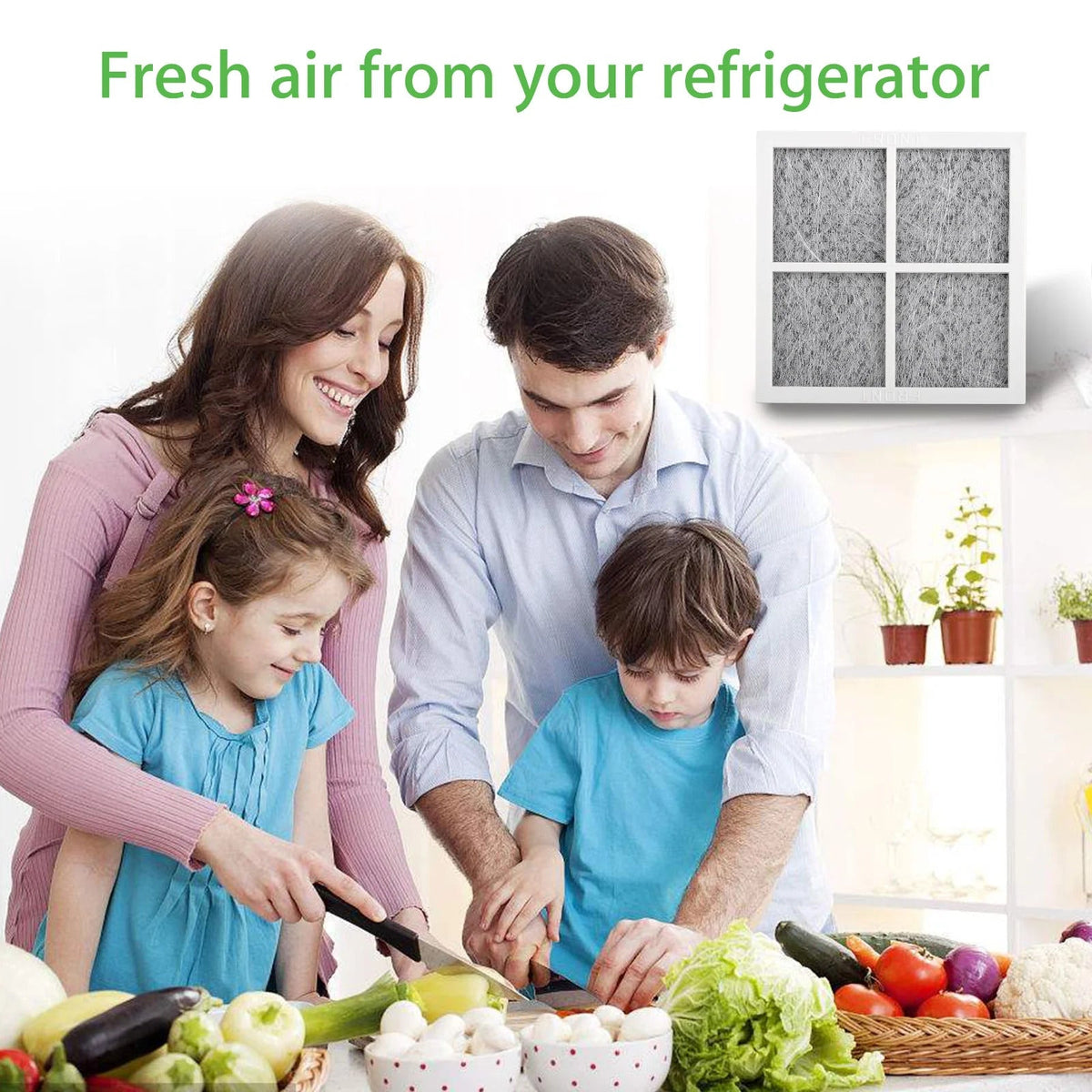LG LT120F Refrigerator Air Filter