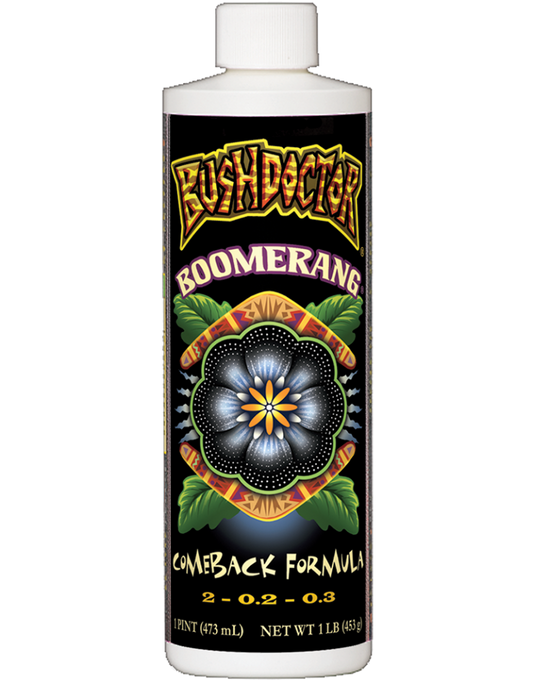Bush Doctor Boomerang