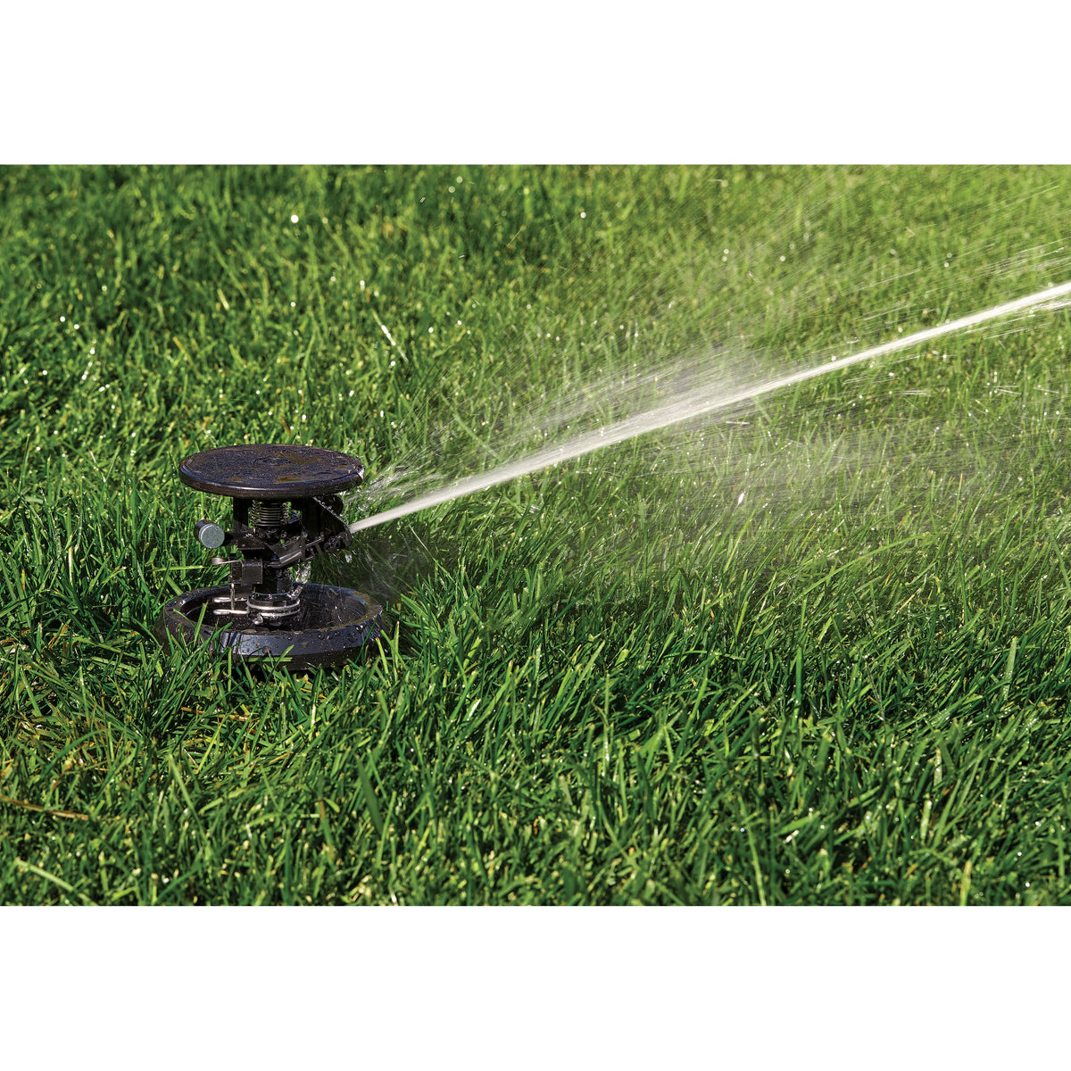 Pulse XL Pop-Up Impact Rotor Sprinkler in Canister | 55201