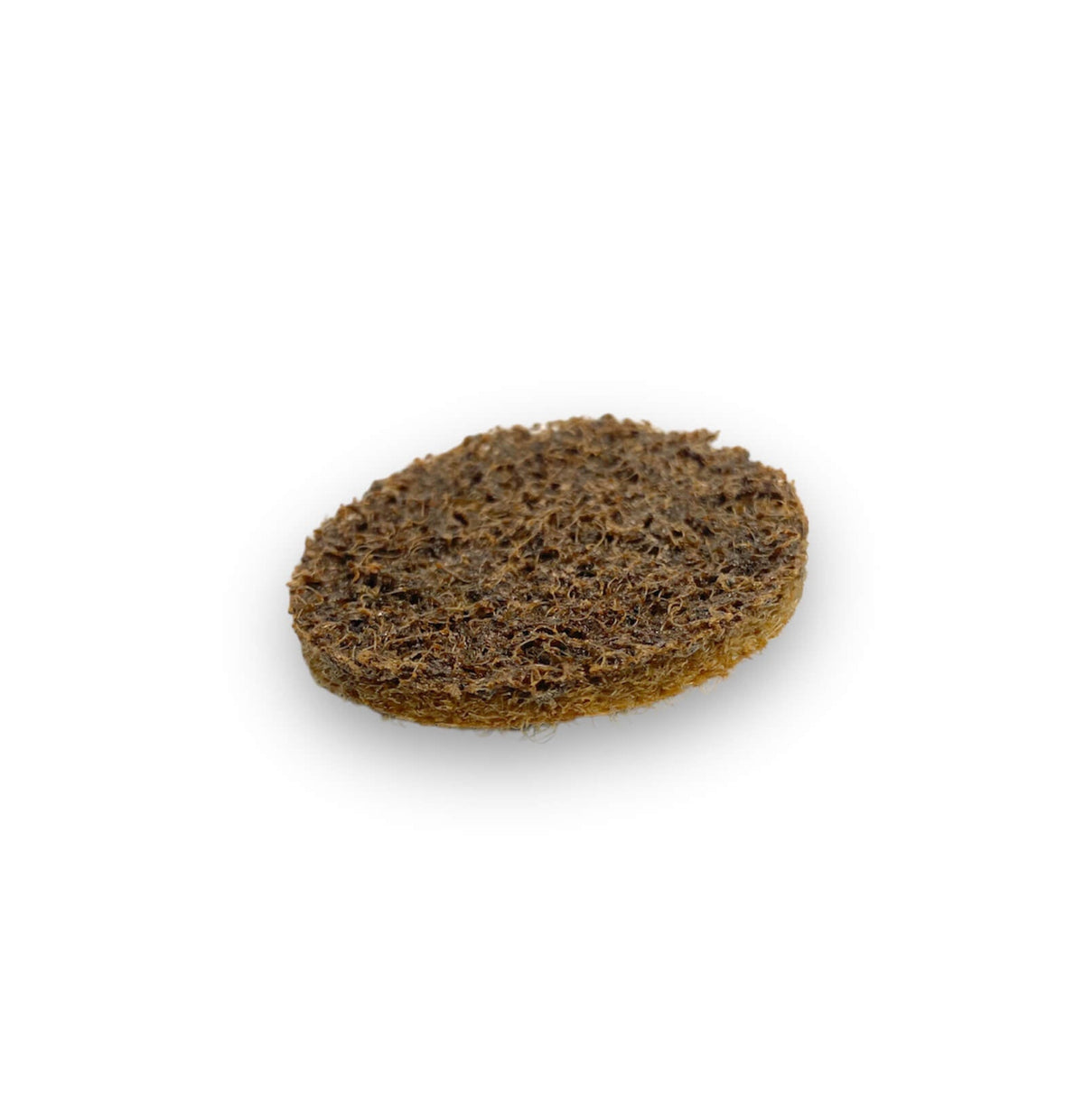 2in Coarse Brown Conditioning Disc