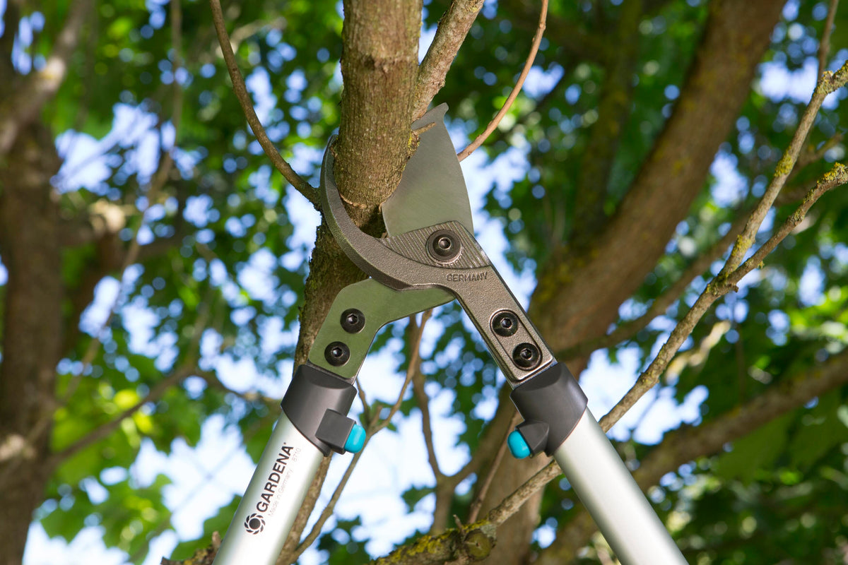 Pruning Lopper _x005F_x000D__x000D_
PremiumCut 700 B
