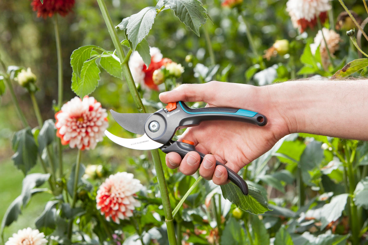 Garden Secateurs B/M