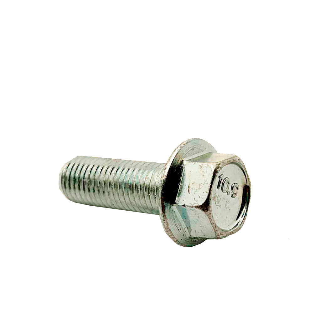 M10-1.25 X 30mm Class 10.9 JIS-B1189 Flange Bolt