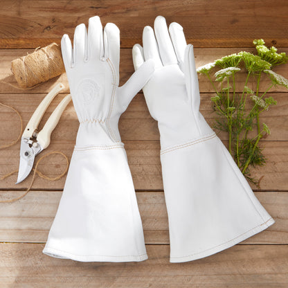 The Goatskin Gauntlet Glove