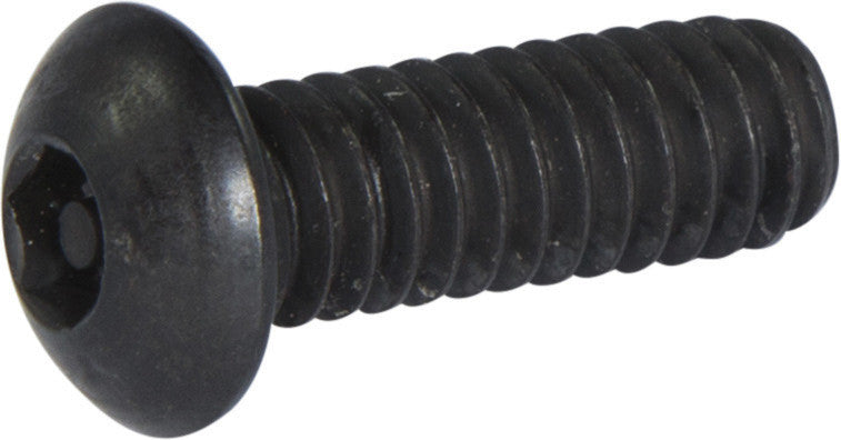 1/4-20 x 3/4 Tamper Resistant Hex Button Head Socket Machine Screw Alloy (5/32)