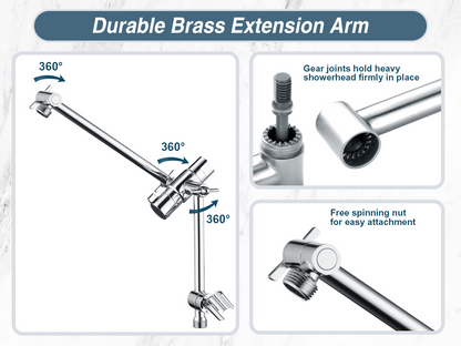 Dual Shower Head with Adjustable Extension Arm, 3-Way Diverter and Hose