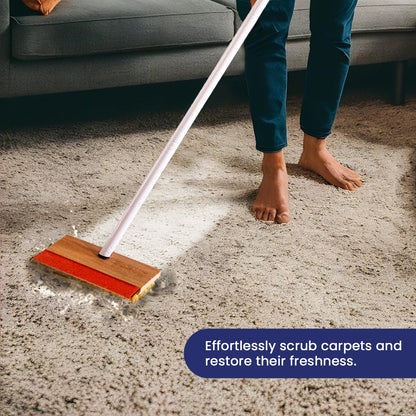 Professor Amos Tampico Brush with Squeegee & Pole - All in one
