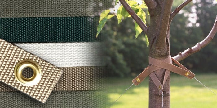 Tree Strap - Green